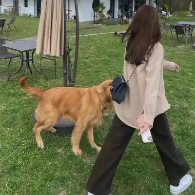 搏击傲娇小女生