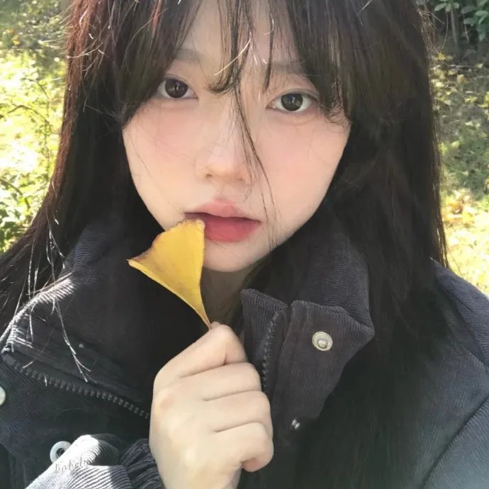 花样年华粤语
